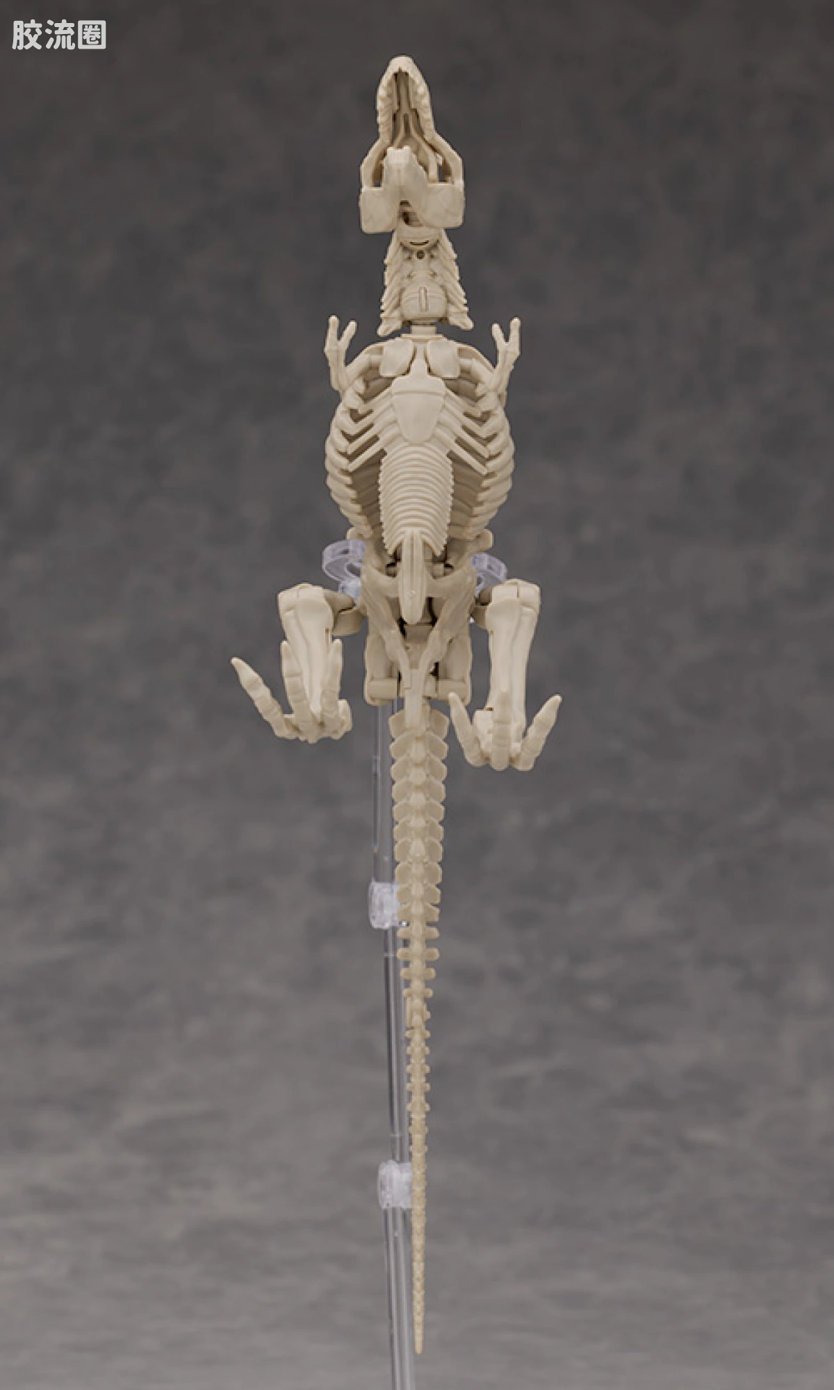 万代综合拼装模型系列 Plannosaurus <侏罗纪世界 重生> 霸王龙 - 图片